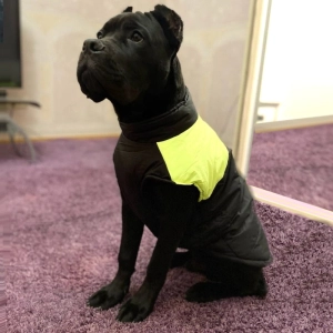 Barbour Dog Coat Winter Warm Dog Clothes Waterproof Pet