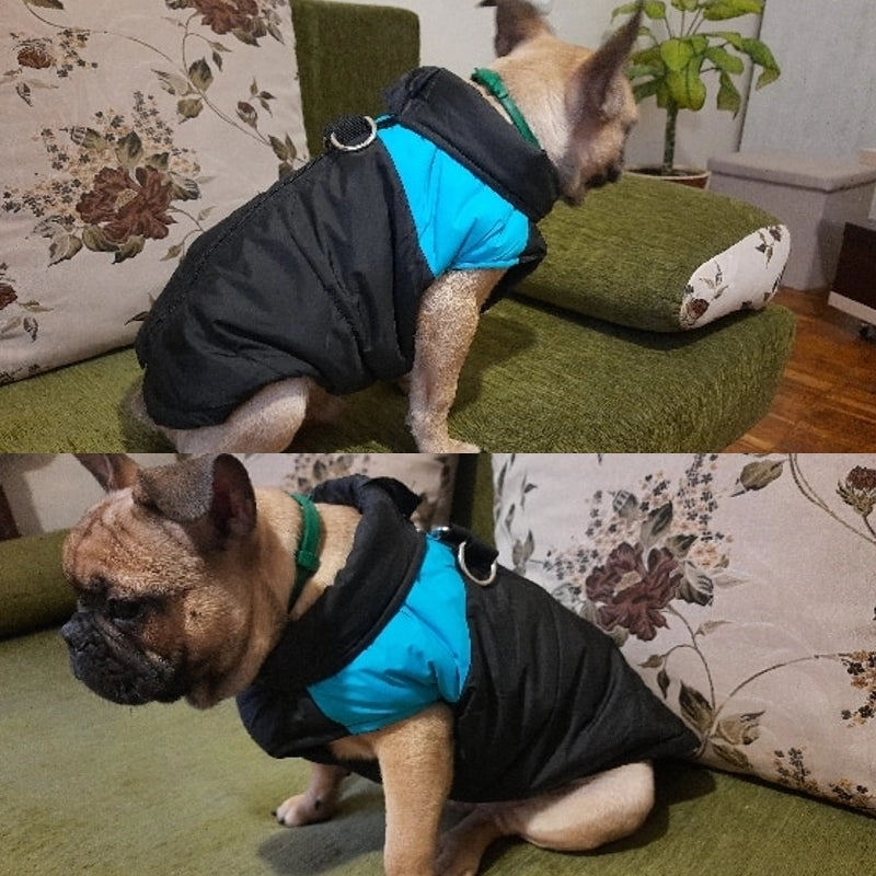 Barbour Dog Coat Winter Warm Dog Clothes Waterproof Pet