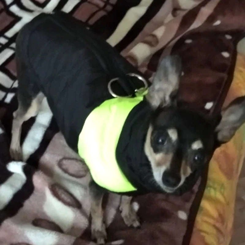 Barbour Dog Coat Winter Warm Dog Clothes Waterproof Pet