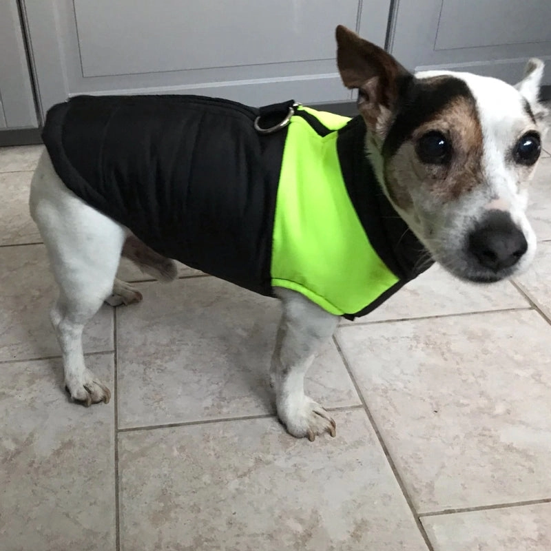 Barbour Dog Coat Winter Warm Dog Clothes Waterproof Pet