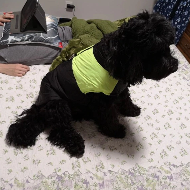 Barbour Dog Coat Winter Warm Dog Clothes Waterproof Pet