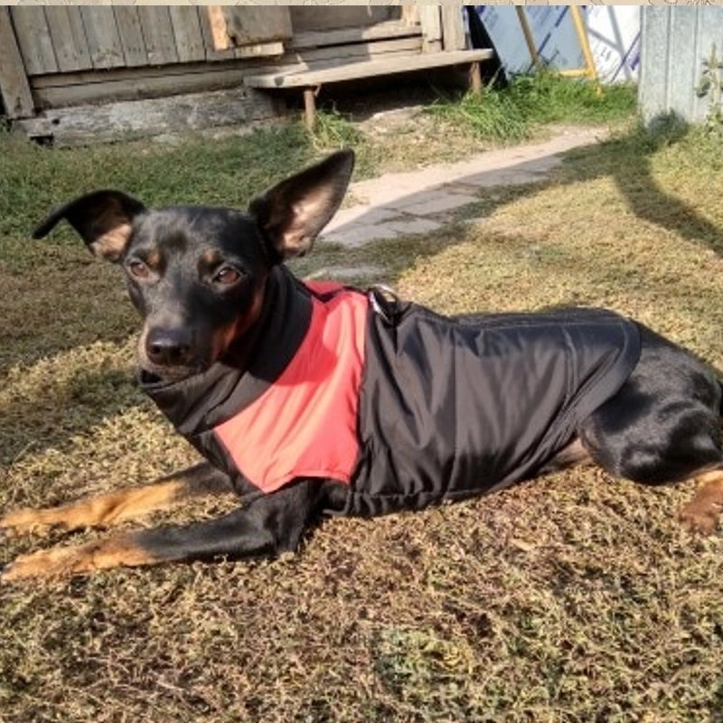 Barbour Dog Coat Winter Warm Dog Clothes Waterproof Pet