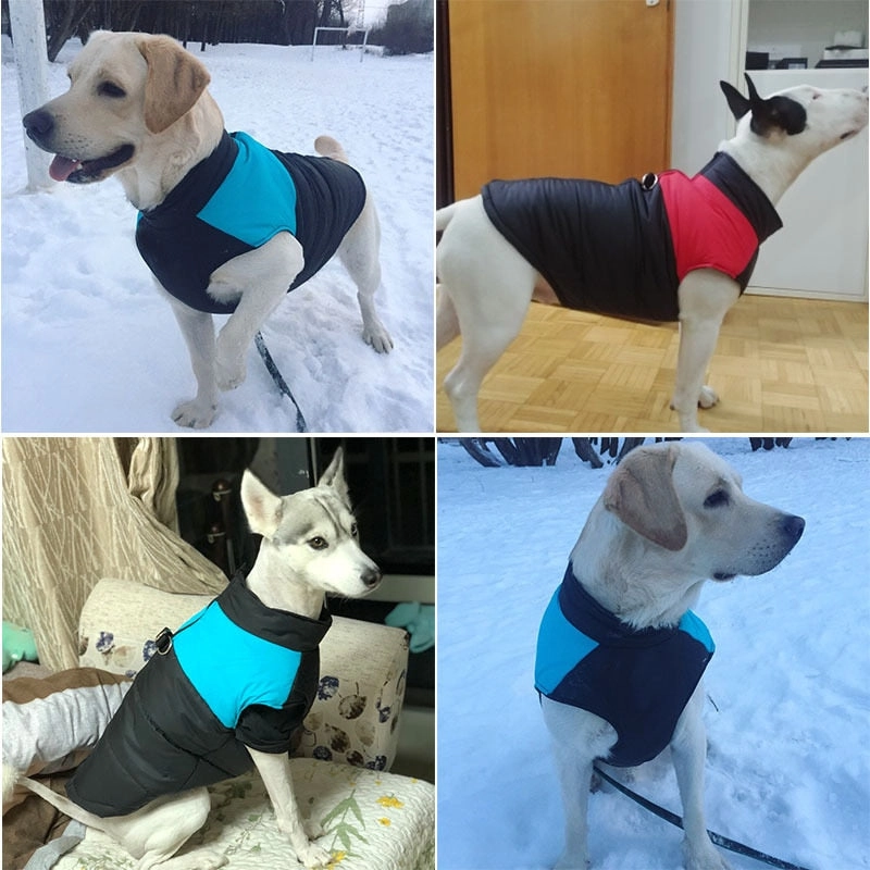 Barbour Dog Coat Winter Warm Dog Clothes Waterproof Pet