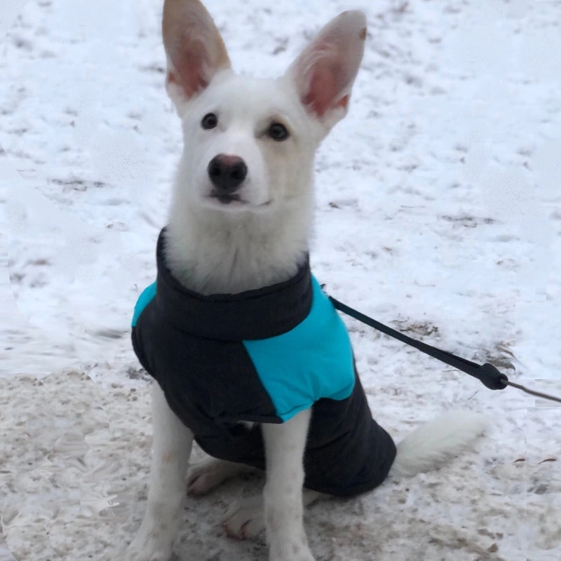 Barbour Dog Coat Winter Warm Dog Clothes Waterproof Pet