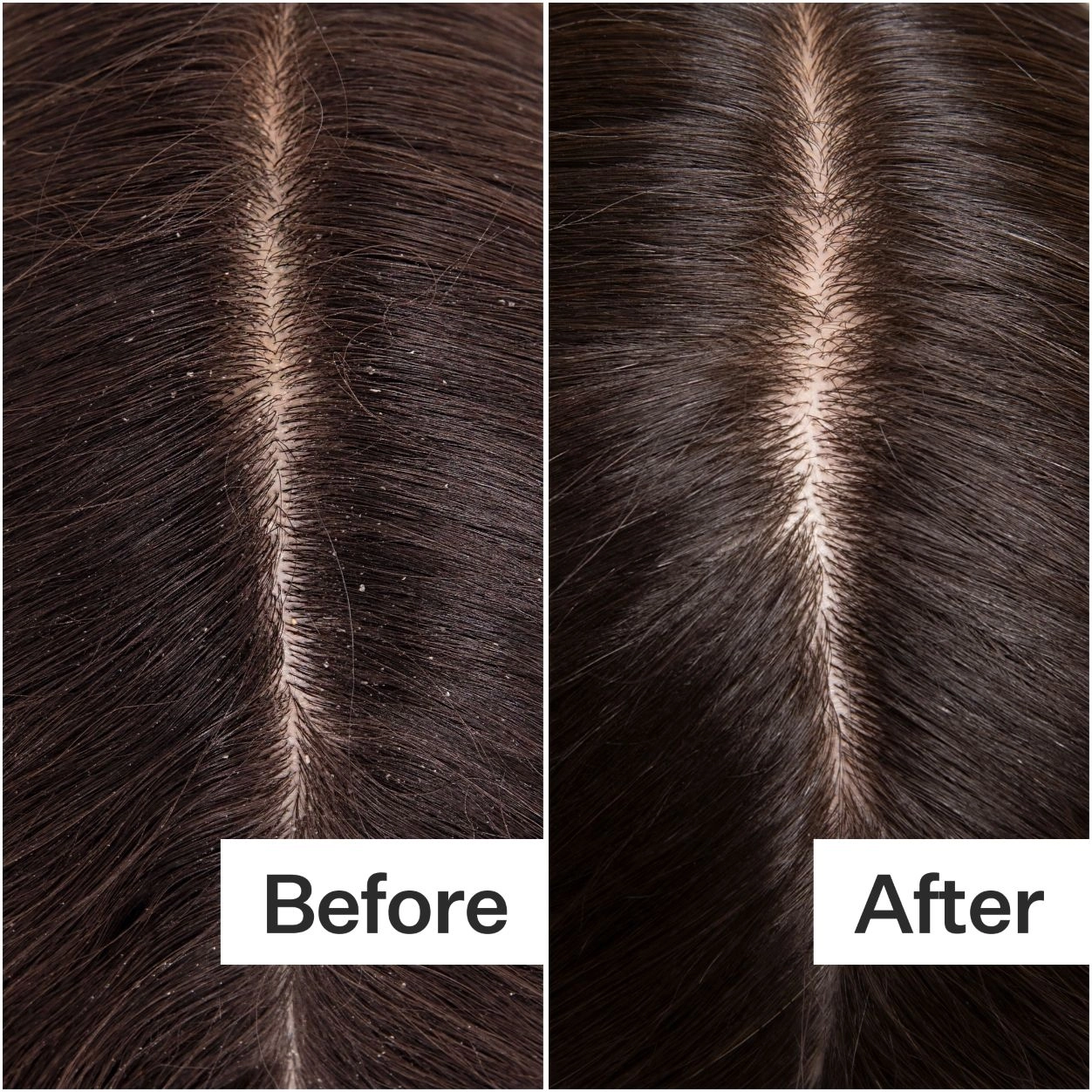 Cold Processed Hair Cleanse Shampoo