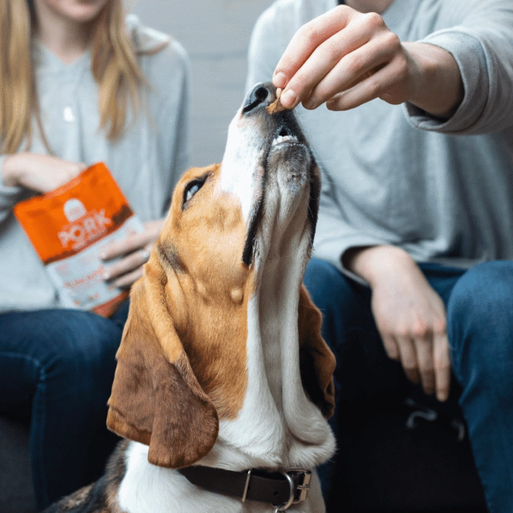 Open Farm Dehydrated Grain Free Pork Dog Treats