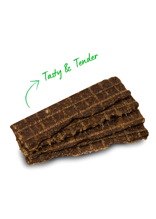 Open Farm Grain Free Jerky Strips Turkey Dog Treats