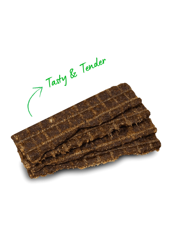 Open Farm Grain Free Jerky Strips Wild-Caught Salmon Dog Treats
