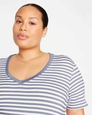 V Rex - White/Lavender Stripe